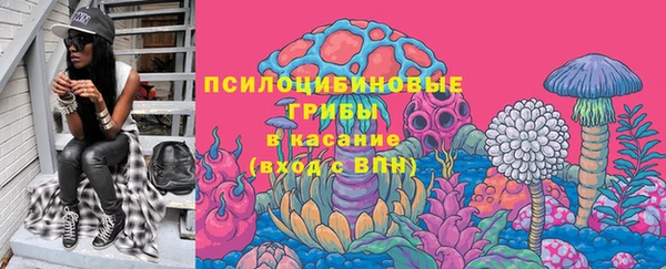 бошки Болотное