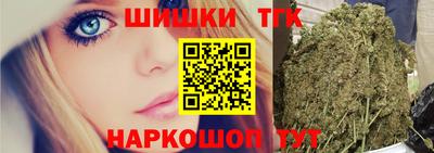 индика Ирбит