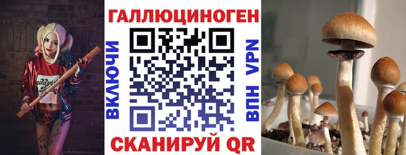 Псилоцибиновые грибы Psilocybine cubensis  купить  цена  Кыштым 