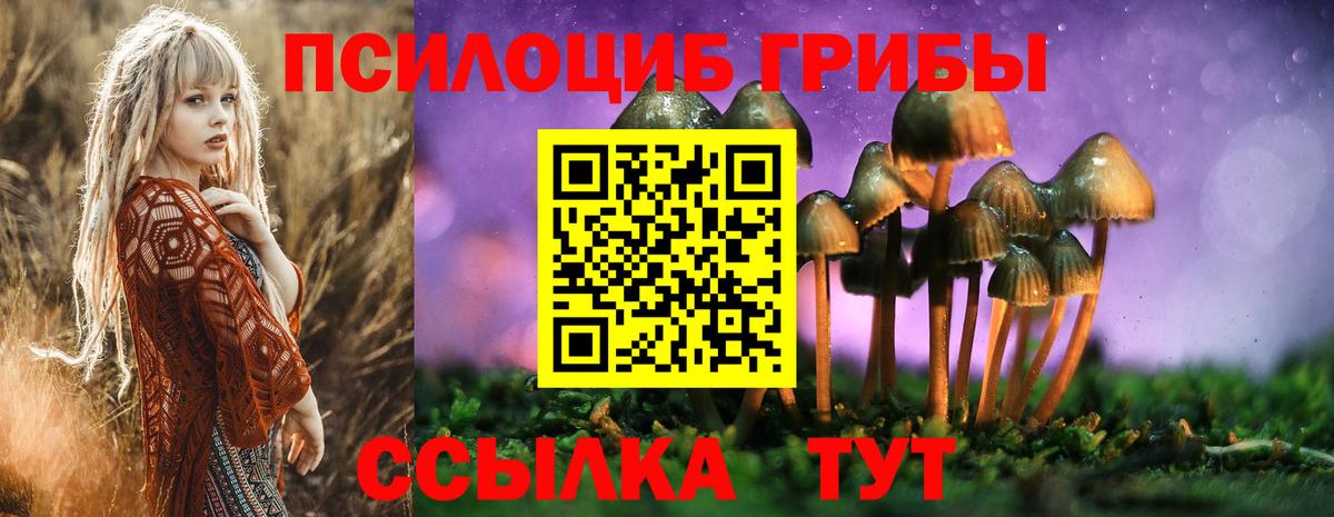 Псилоцибиновые грибы Cubensis  Вход с VPN  Псилоцибиновые грибы мицелий  Кыштым 